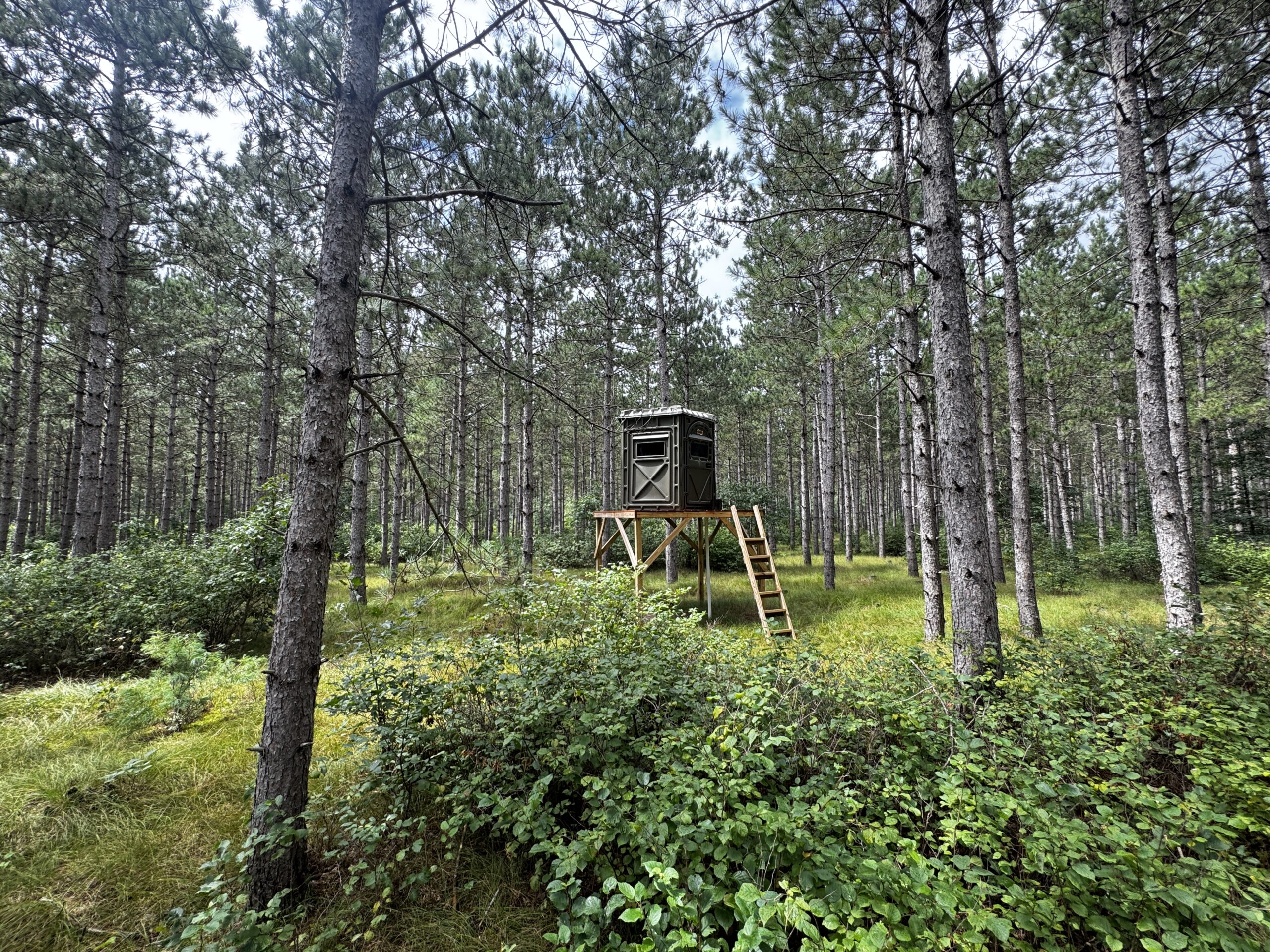22.35+/- Wooded Acres in Adams County’s Town of Big Flats