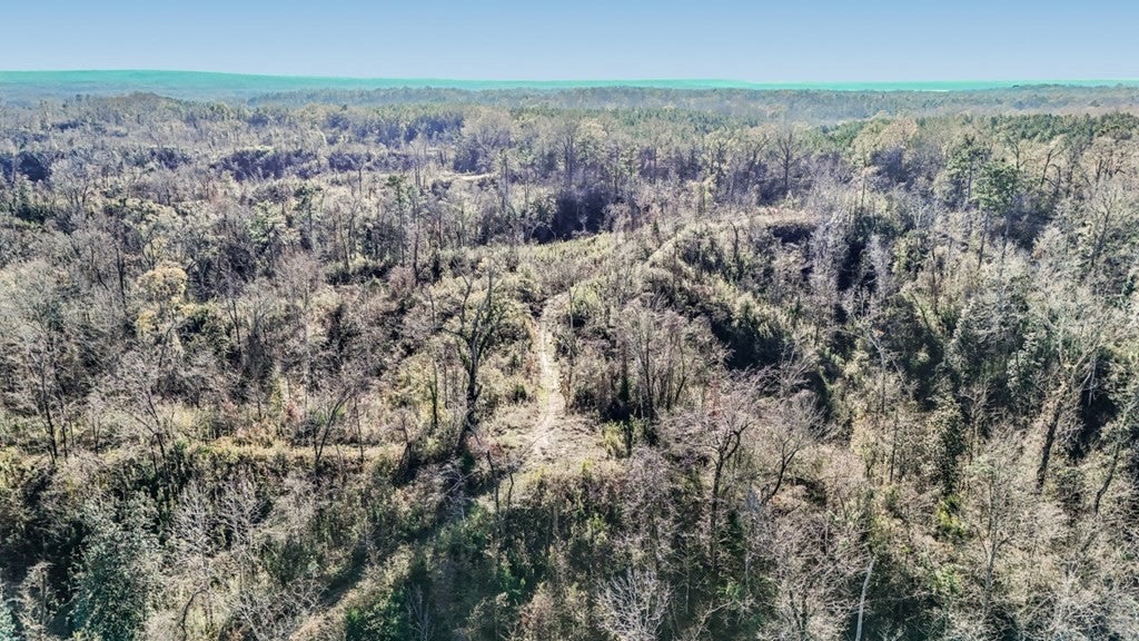 Rodney MS Hunting Land with Tiny Home & Lodge Potential