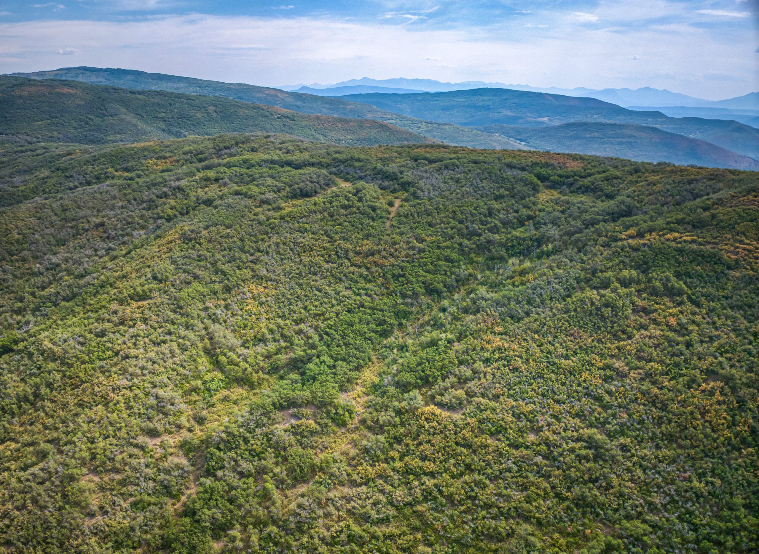 Whiskey Jug Ranch 465 Acre CO Hunting And Recreation Property With Cabin