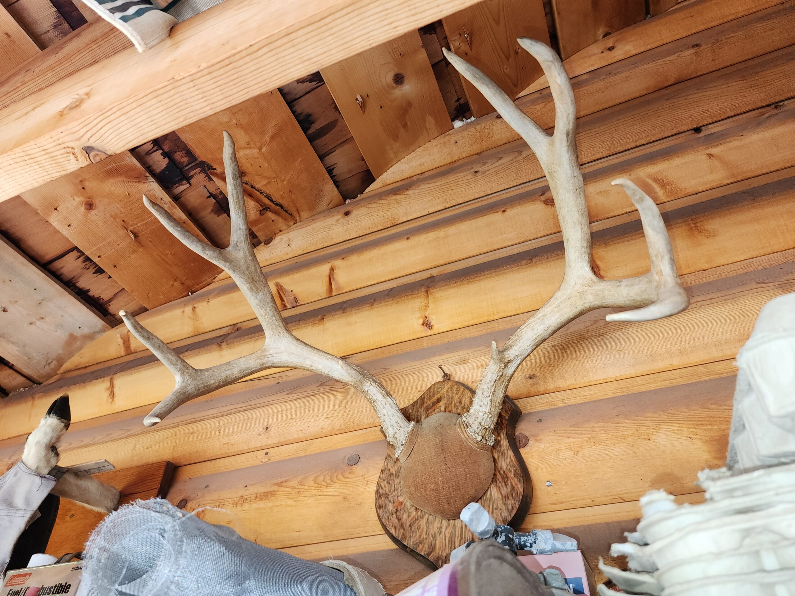 Western Colorado Ranch with Cabins, Ponds, Springs For Sale