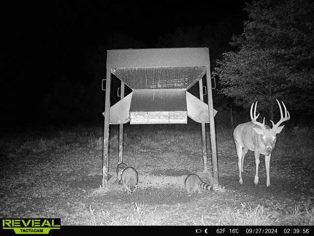 The Perfect 160 in Franklin County Kansas