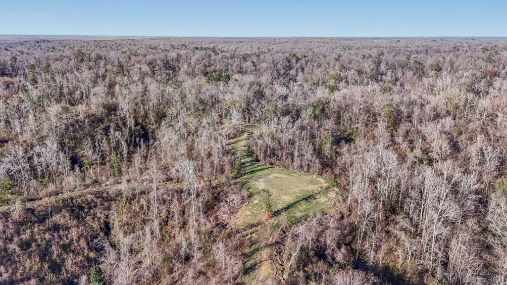 Rodney MS Hunting Land with Tiny Home & Lodge Potential