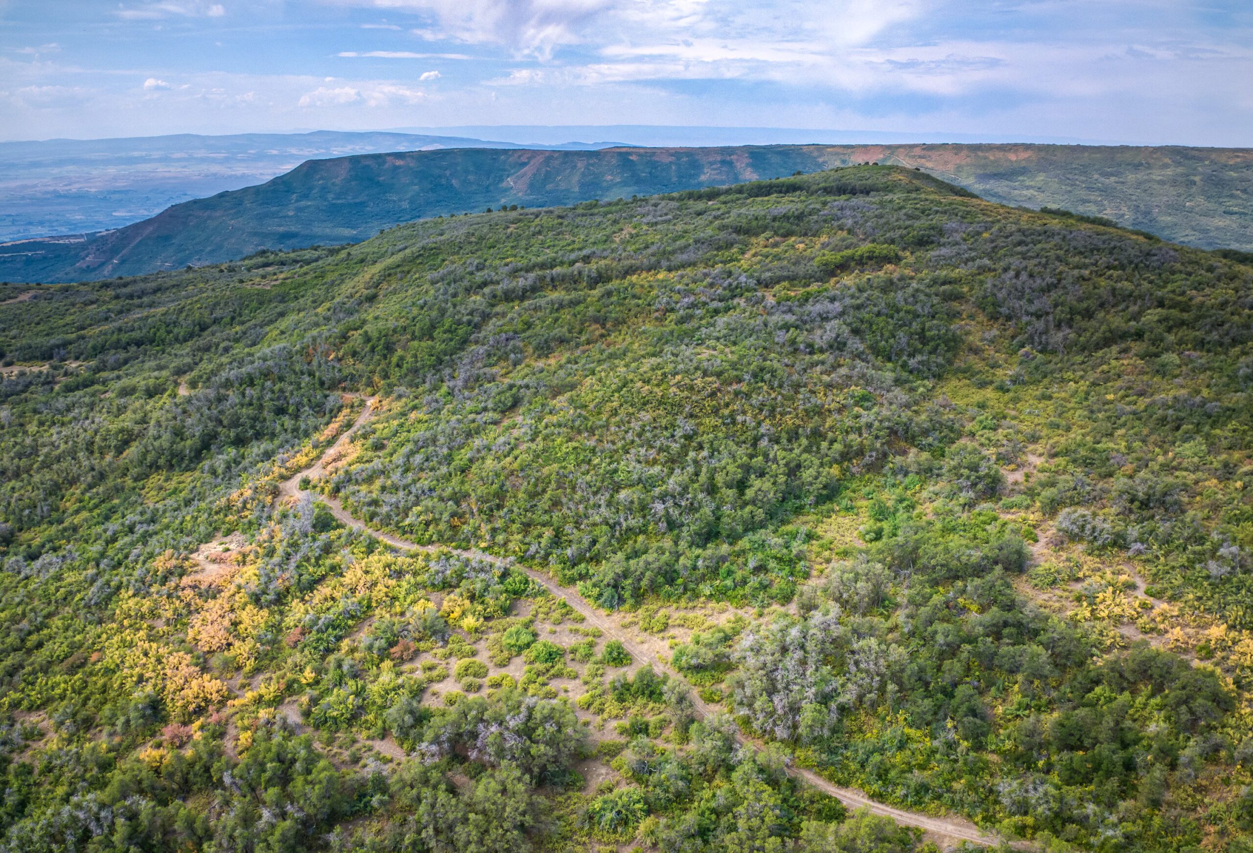 Whiskey Jug Ranch 465 Acre CO Hunting And Recreation Property With Cabin