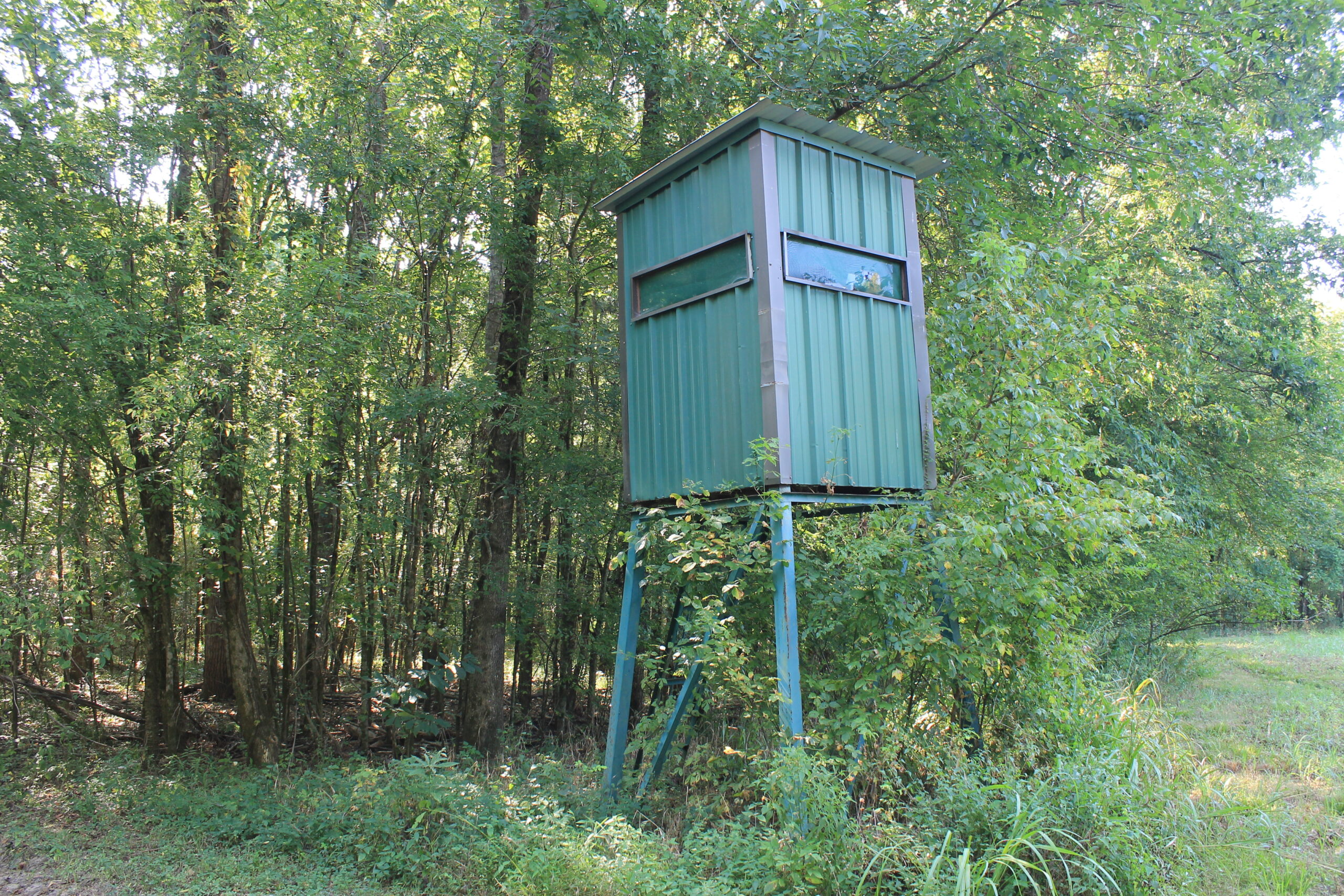 210 Acre Turn-Key Recreational Property for Sale in Dayton, Alabama
