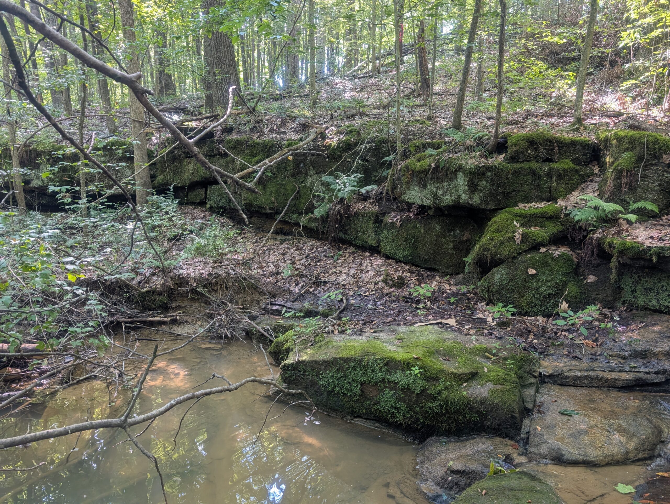 Secluded Central Ohio Hunting and Timber Land