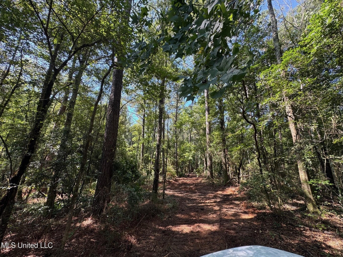 32 +/- Acres Near McComb, MS – Hunting, Timber, Homesite