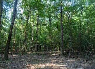 Affordable Multi-Use Recreational Tract