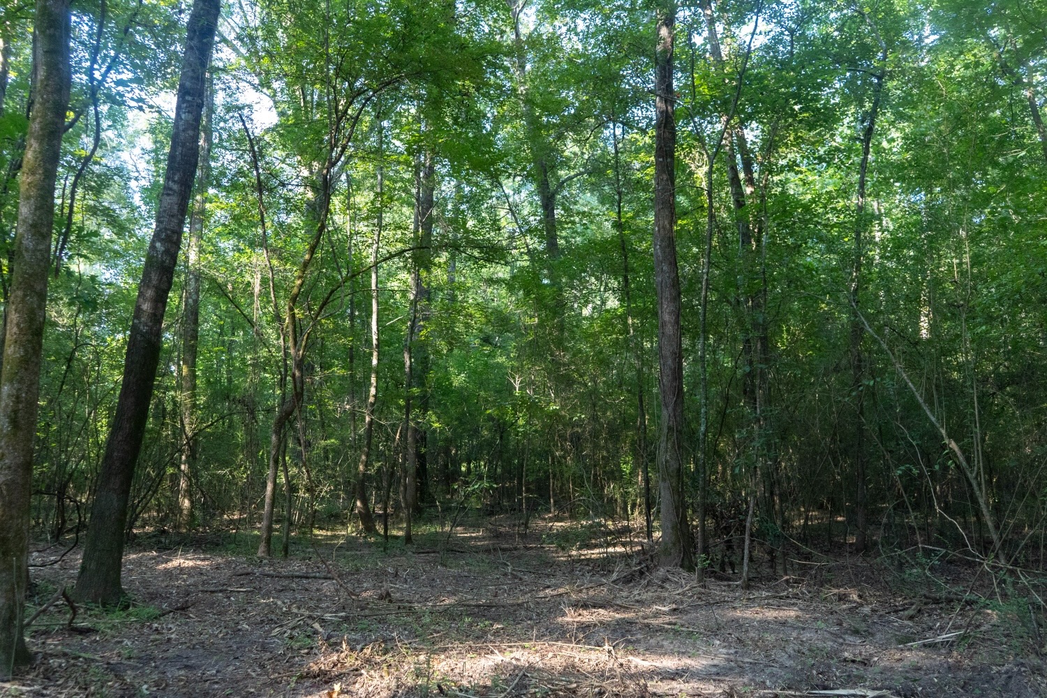 Affordable Multi-Use Recreational Tract