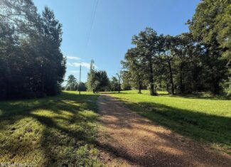 40 Acres with Country Home for Sale in Pike County MS