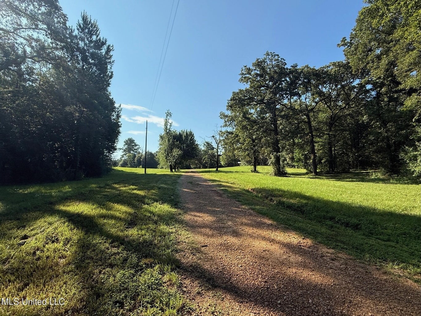 40 Acres with Country Home for Sale in Pike County MS