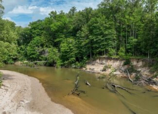 345+- Acres on Bogue Chitto River Summit MS