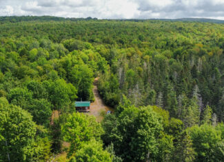 Northern Maine Recreational Land | 44 Acres