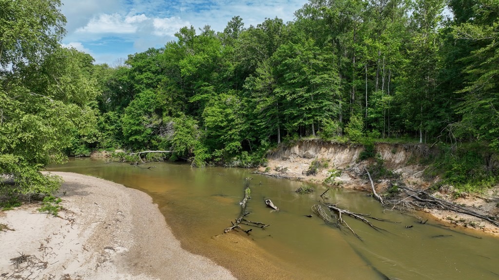 345+- Acres on Bogue Chitto River Summit MS