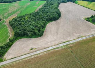 Tchula MS Delta 97 Acres