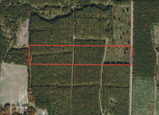 22.35+/- Wooded Acres in Adams County’s Town of Big Flats