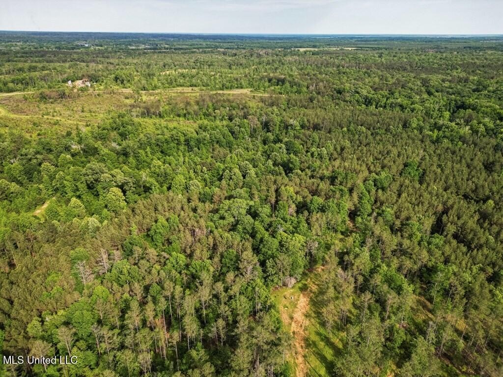 Catahoula Parish 290 Acres Hunting and Income Property
