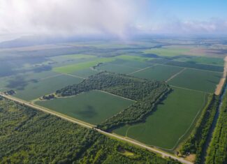 500 +/- Acres Precision Leveled and Irrigated Farmland