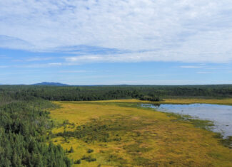 516 Acres Bordering State Wildlife Management Area