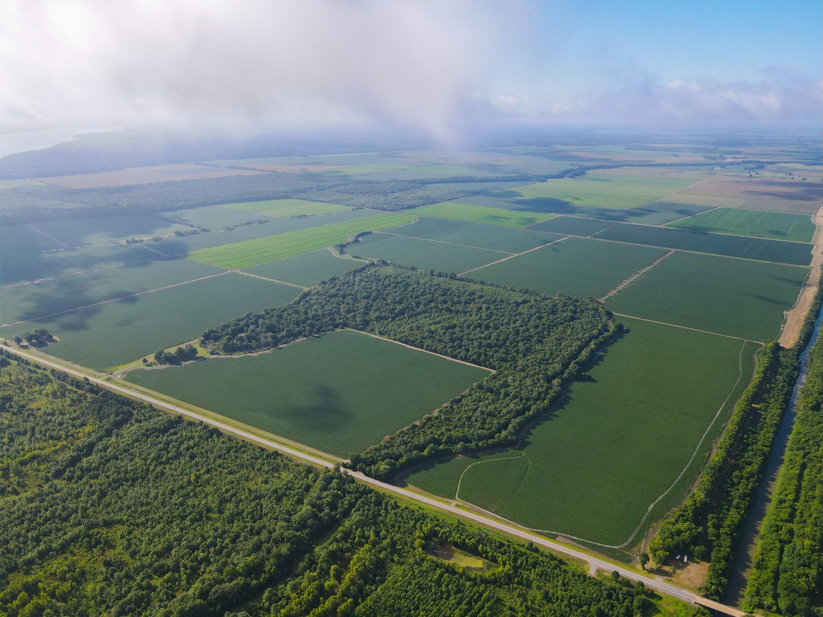 500 +/- Acres Precision Leveled and Irrigated Farmland