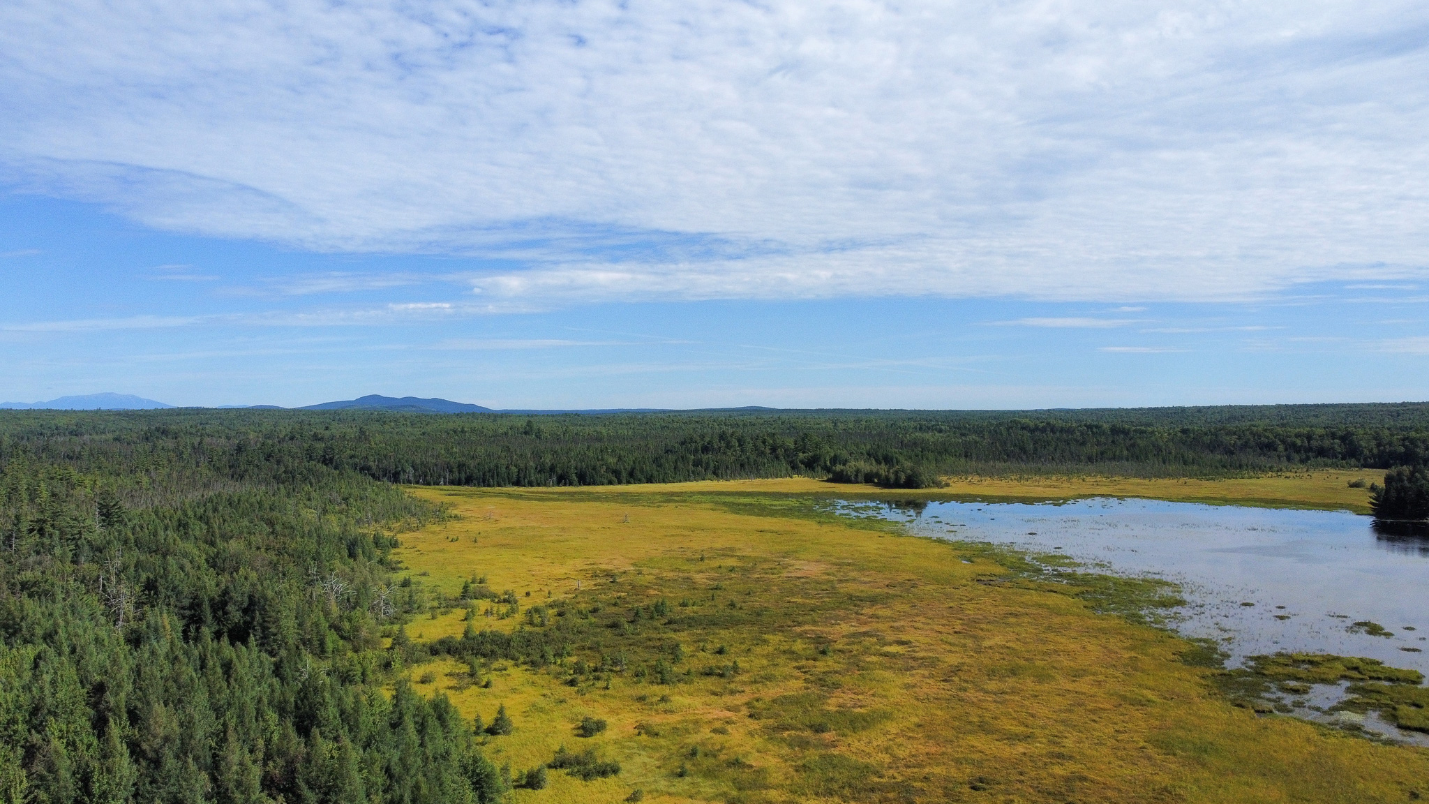 516 Acres Bordering State Wildlife Management Area