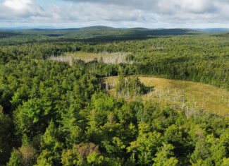 20 Acres with Katahdin Views – Springfield, Maine