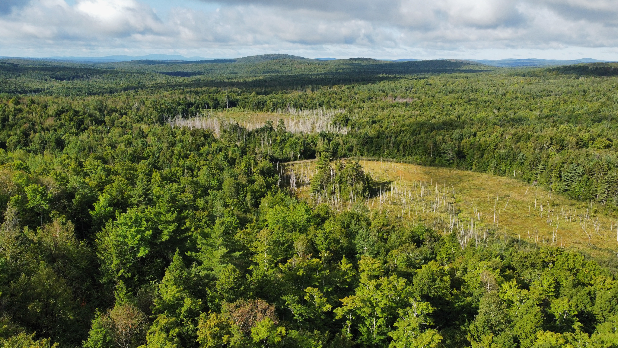 20 Acres with Katahdin Views – Springfield, Maine