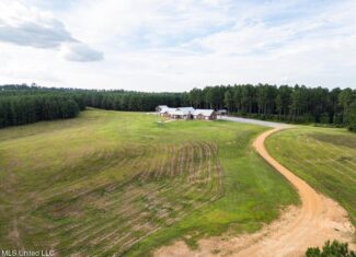 Petit Amite – Luxury Hunting Retreat in Amite County, MS