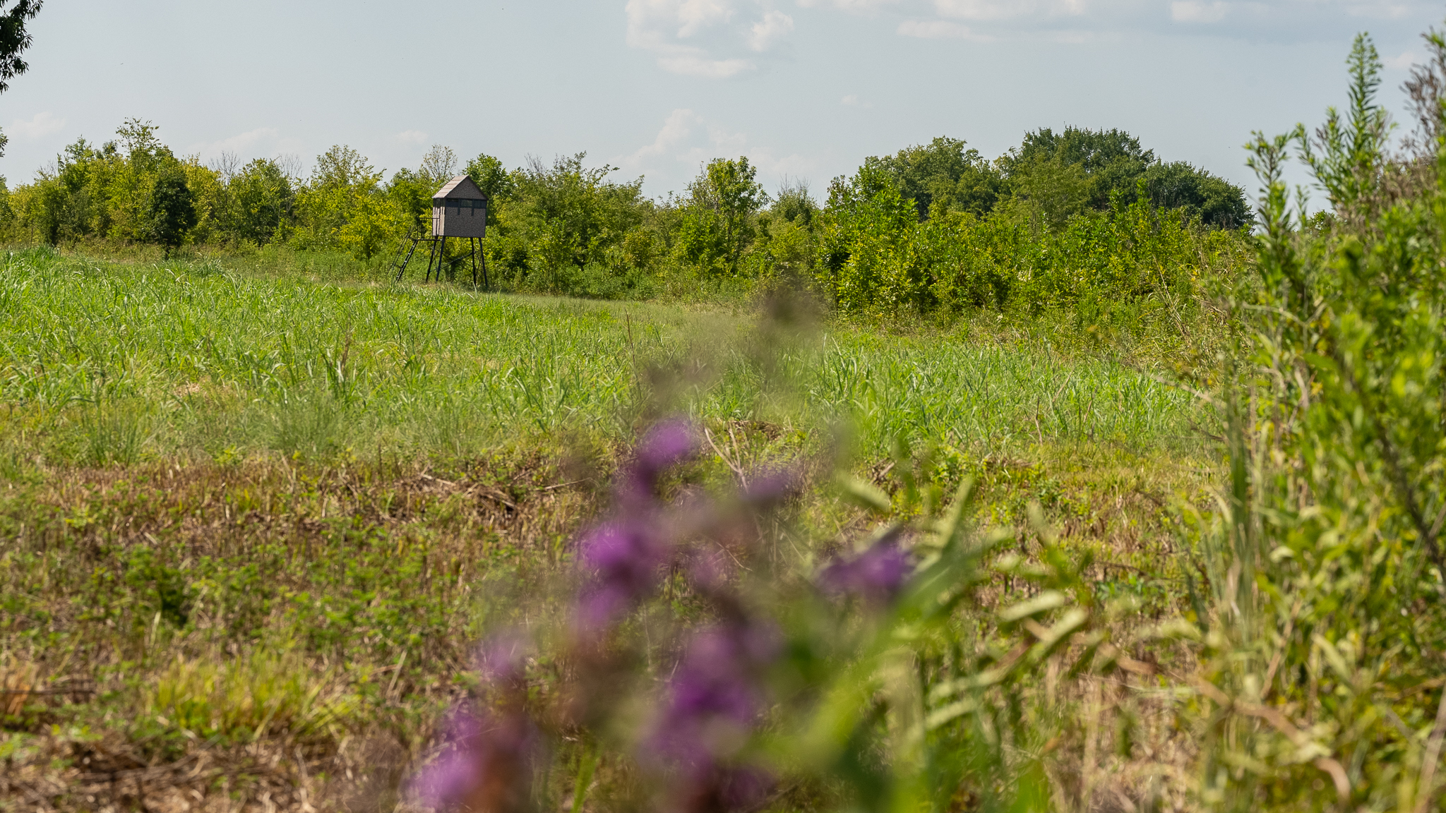 Premier Dekalb Texas Hunting Property with Red River Frontage