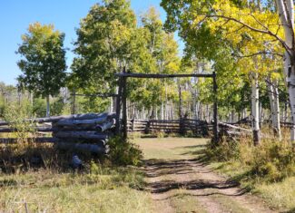 Western Colorado Ranch with Cabins, Ponds, Springs For Sale