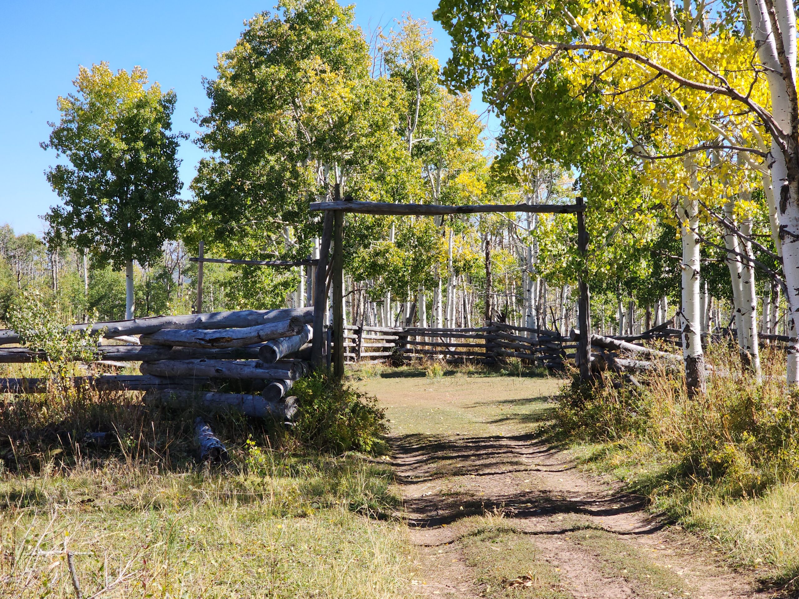 Western Colorado Ranch with Cabins, Ponds, Springs For Sale