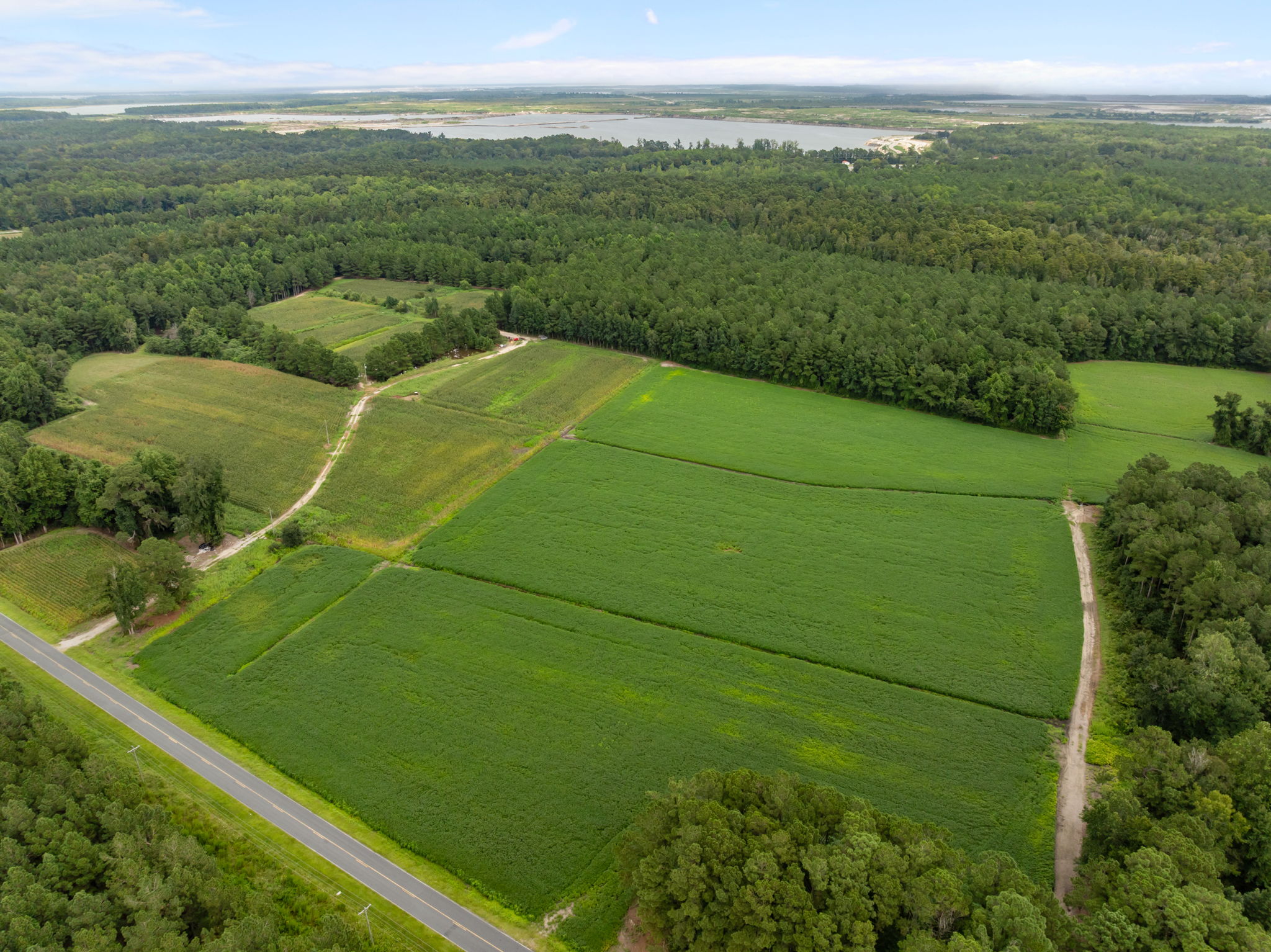 305 Acres Farmland & Timber with Hunting in NC
