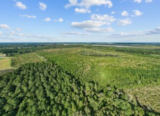 470-AC Prime Hunting Land for Sale in Pitt County, NC
