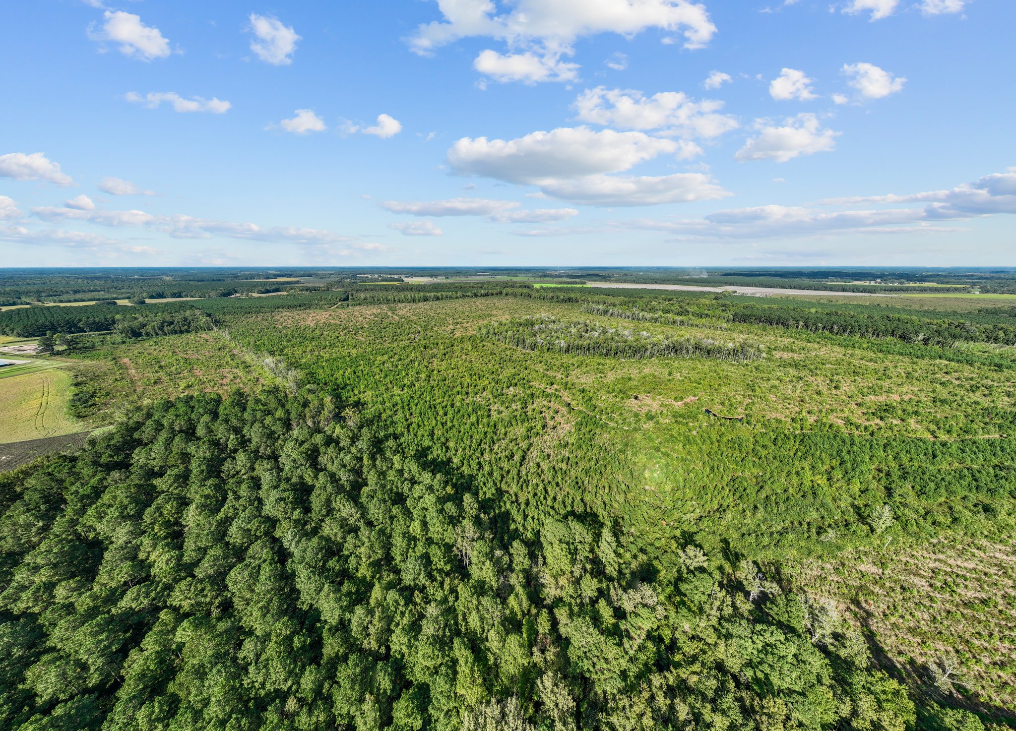 470-AC Prime Hunting Land for Sale in Pitt County, NC