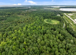 21 Acres of Timber & Hunting Land Near Aurora, NC