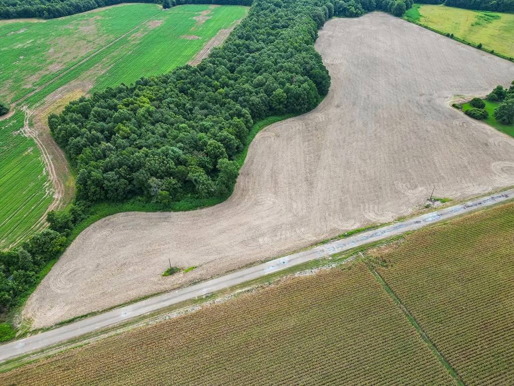 Tchula MS Delta 97 Acres