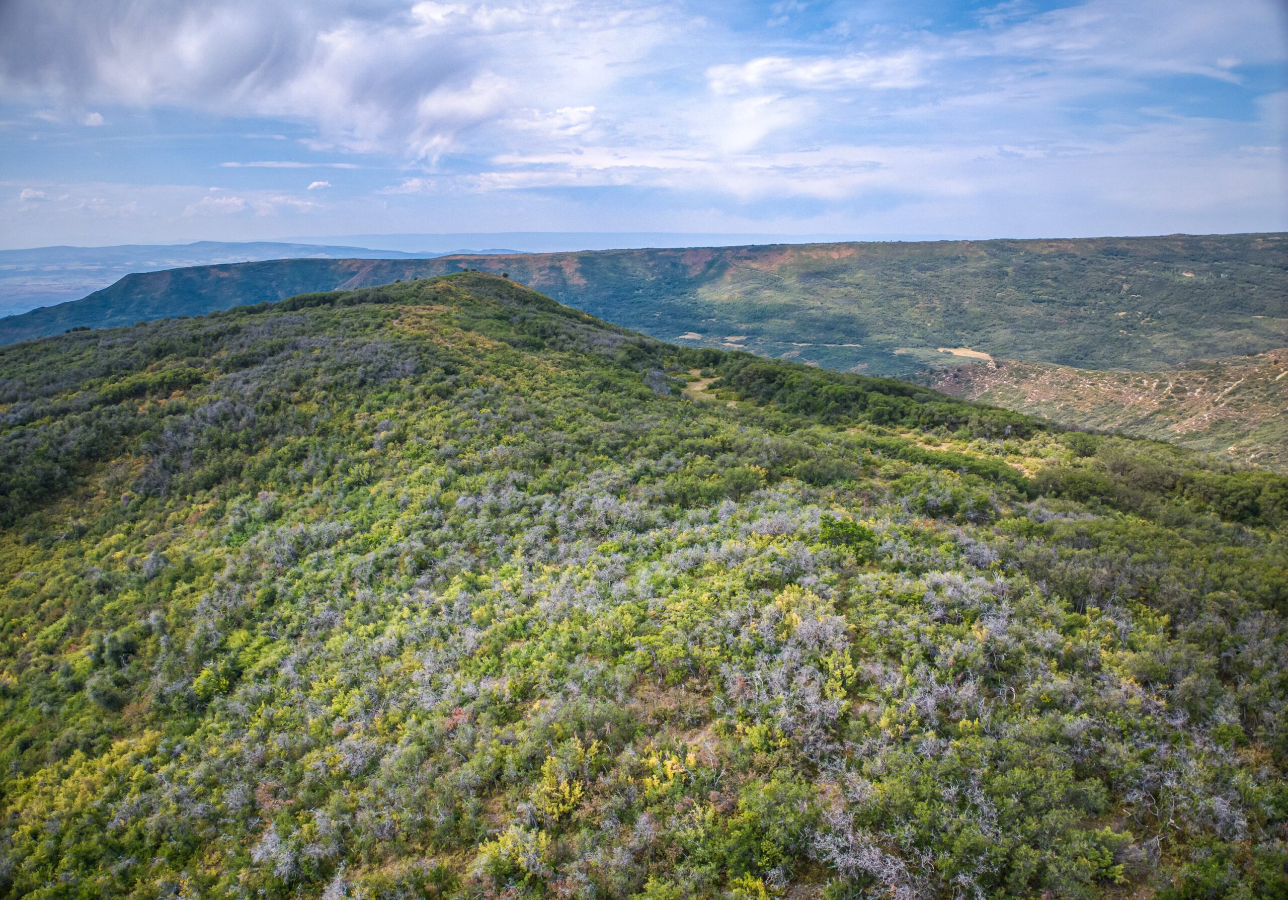 Whiskey Jug Ranch 465 Acre CO Hunting And Recreation Property With Cabin