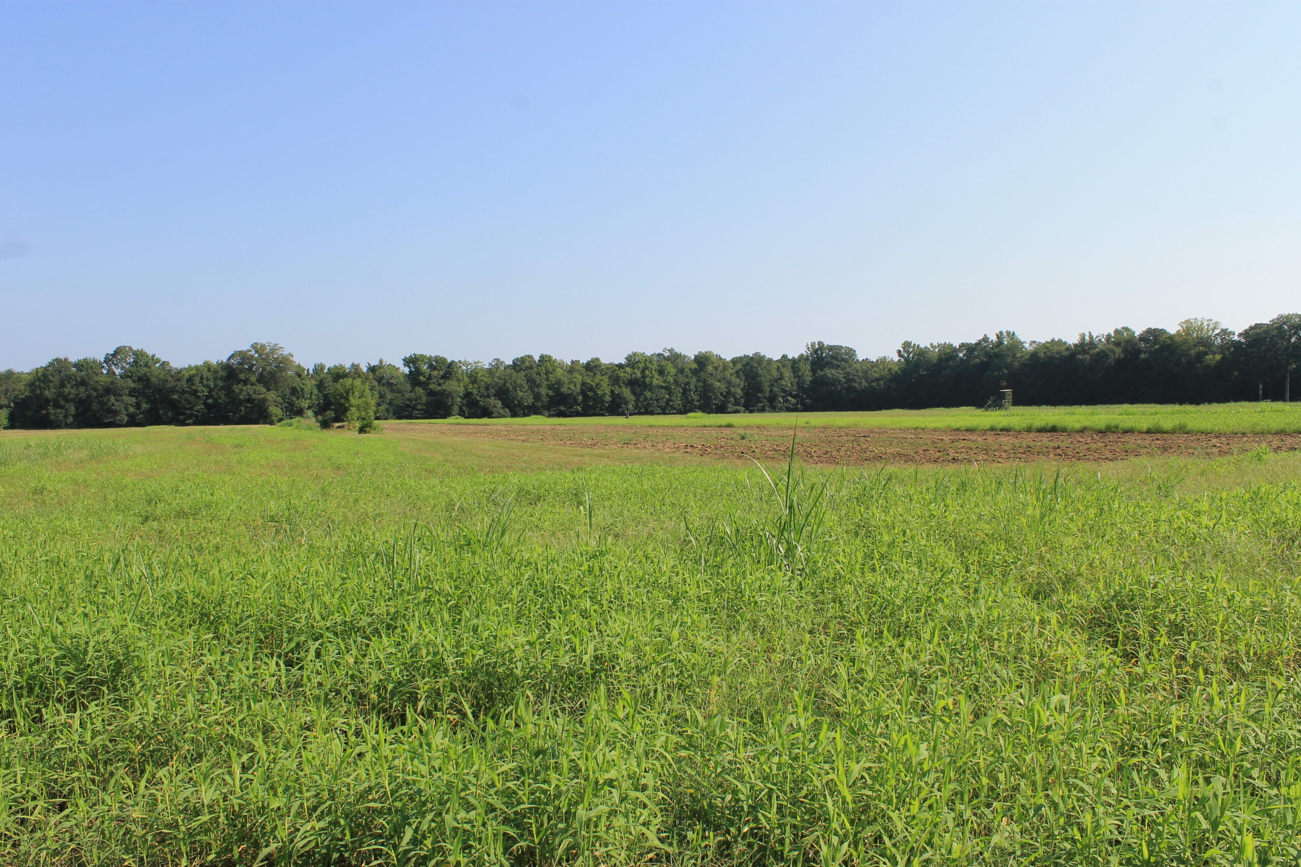 210 Acre Turn-Key Recreational Property for Sale in Dayton, Alabama