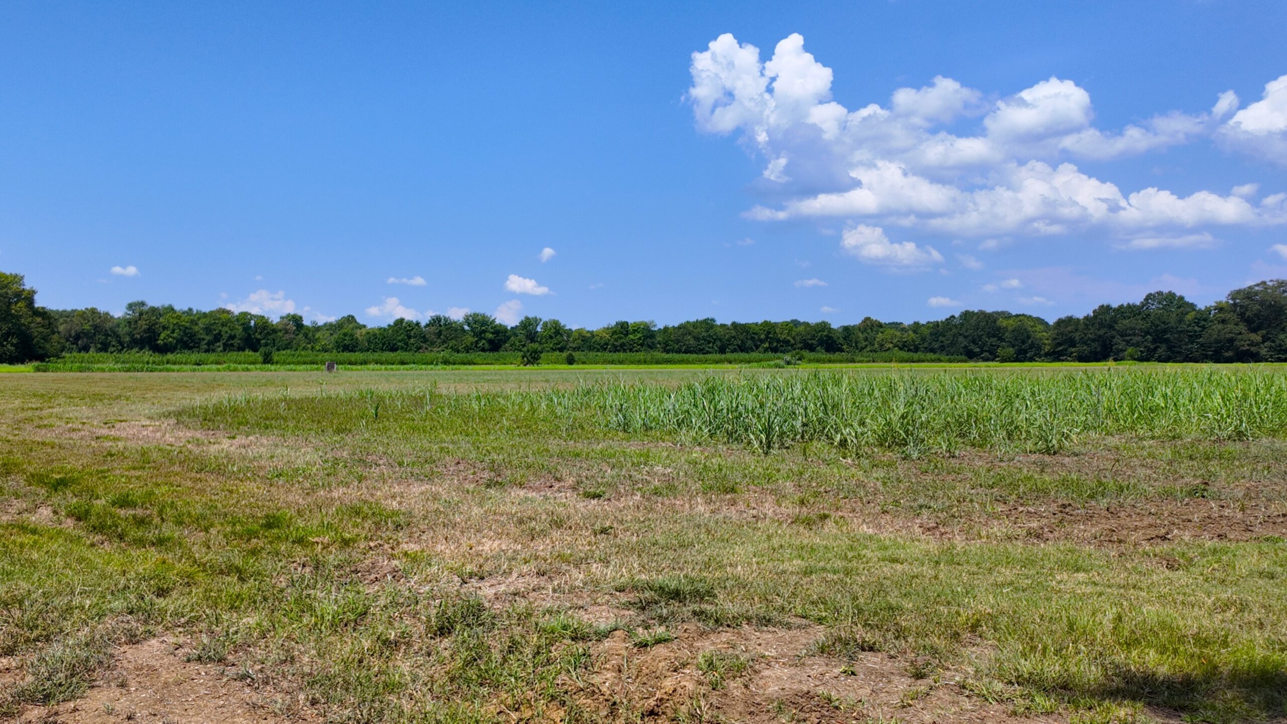 210 Acre Turn-Key Recreational Property for Sale in Dayton, Alabama
