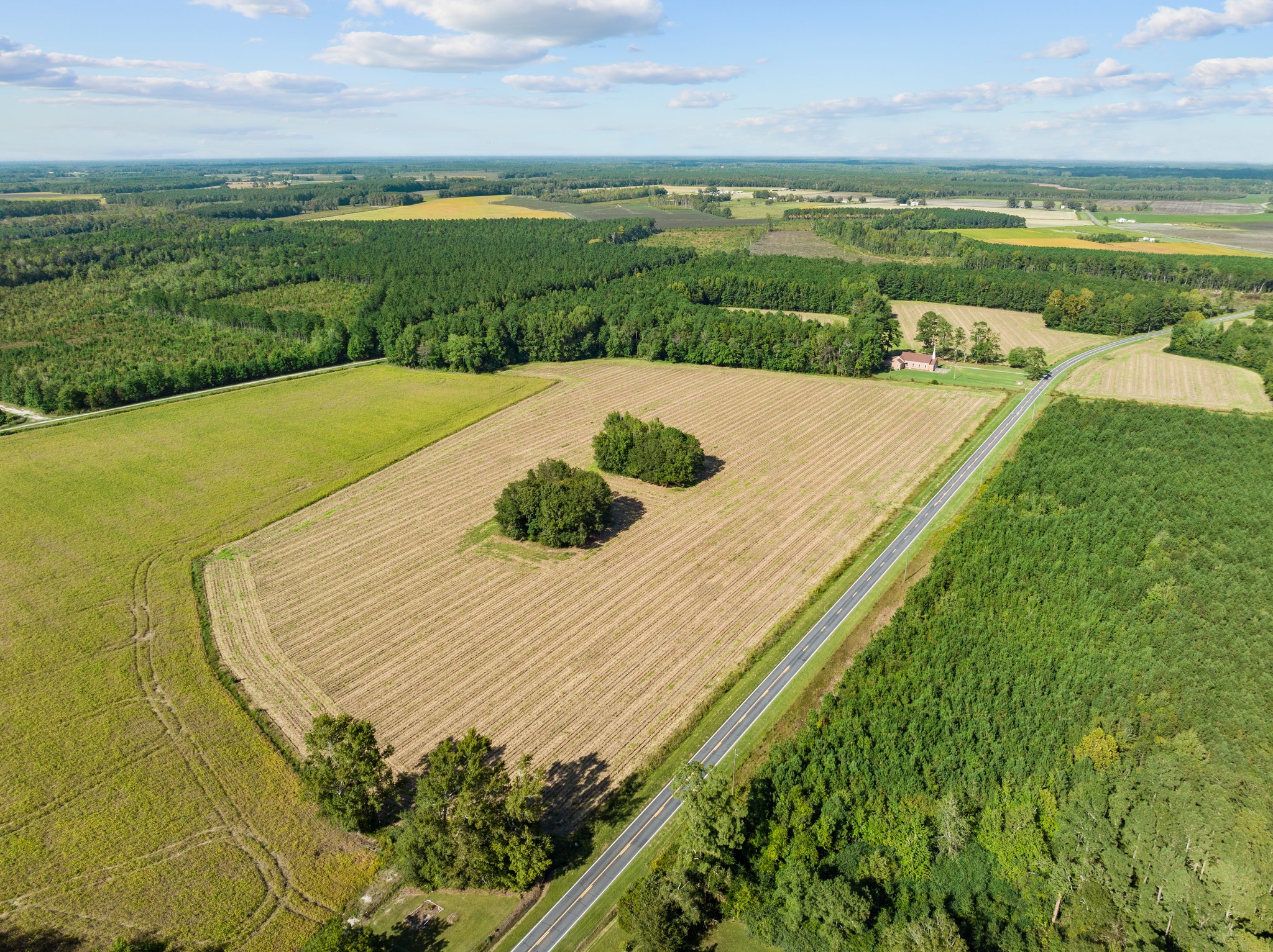 470-AC Prime Hunting Land for Sale in Pitt County, NC
