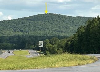 40 Acres of Harwood Timber in Talladega, Alabama