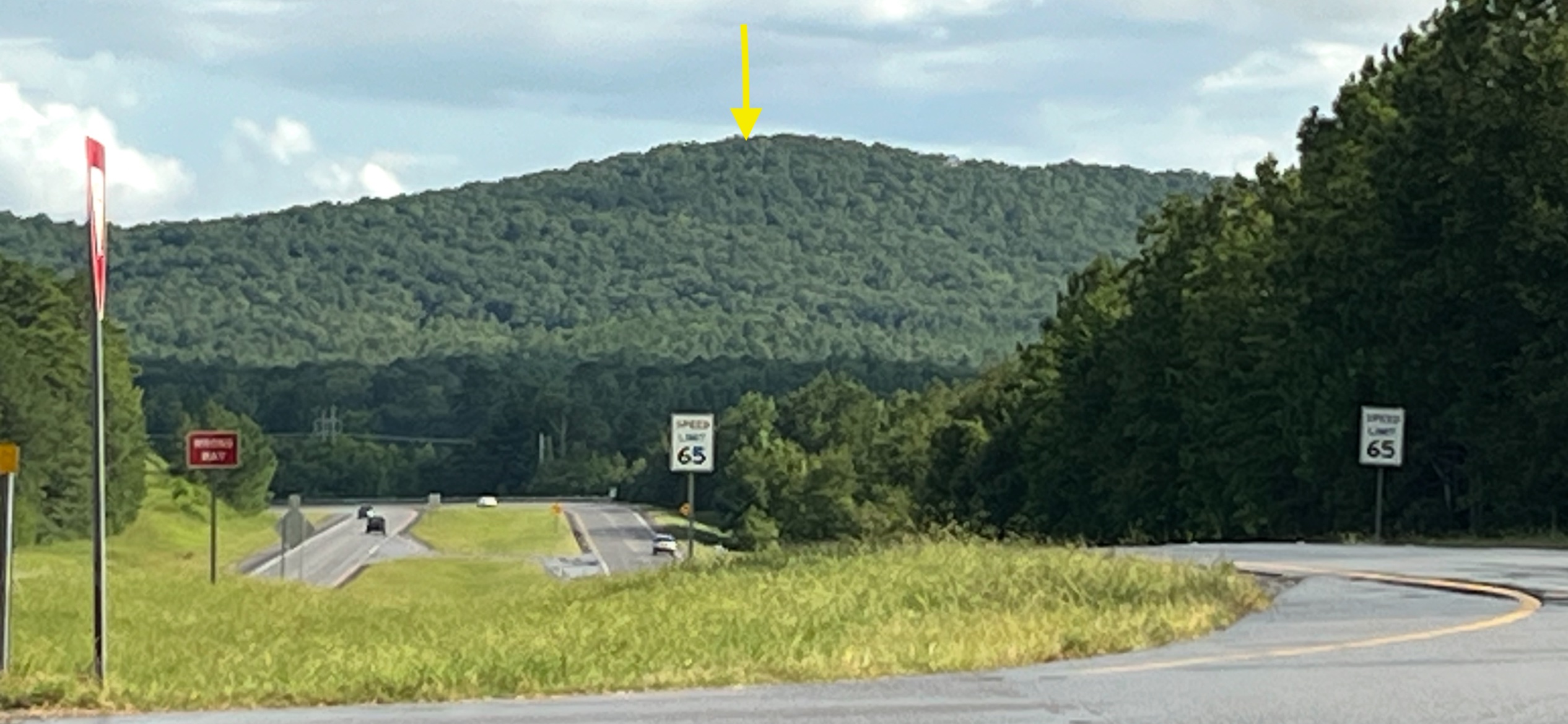 40 Acres of Harwood Timber in Talladega, Alabama