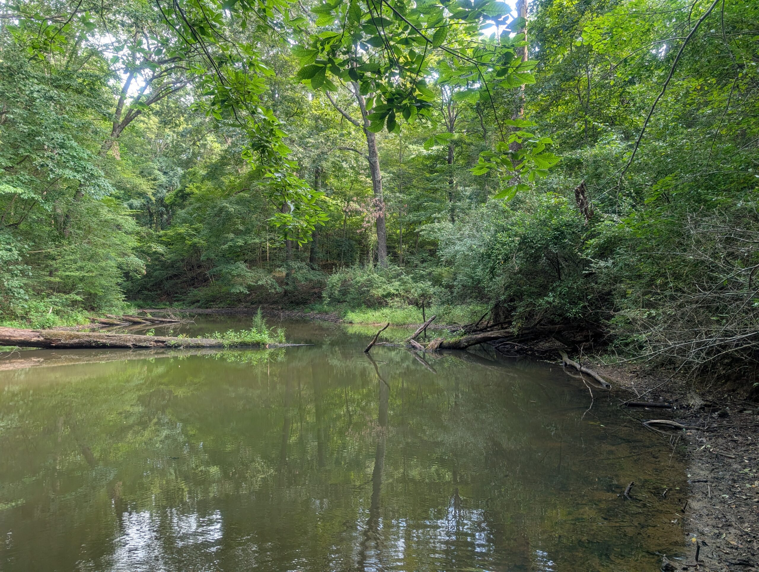 Secluded Central Ohio Hunting and Timber Land