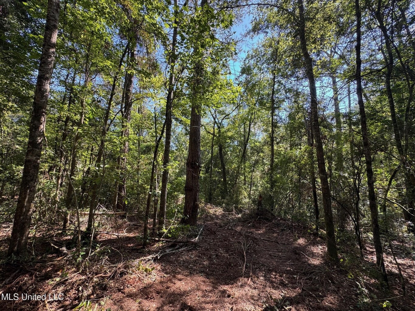 32 +/- Acres Near McComb, MS – Hunting, Timber, Homesite