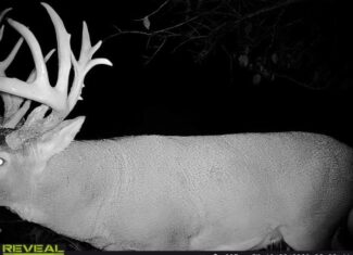 The Perfect 160 in Franklin County Kansas