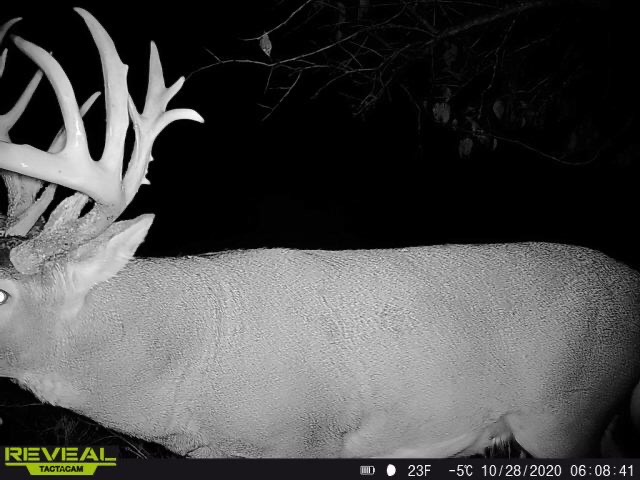The Perfect 160 in Franklin County Kansas