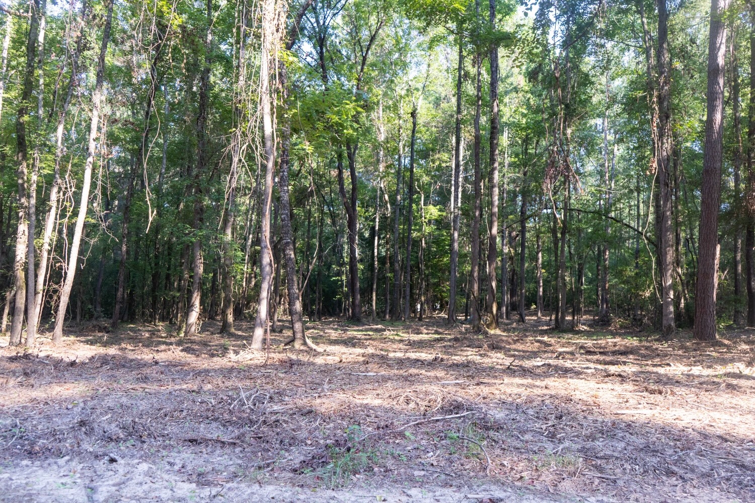 Affordable Multi-Use Recreational Tract