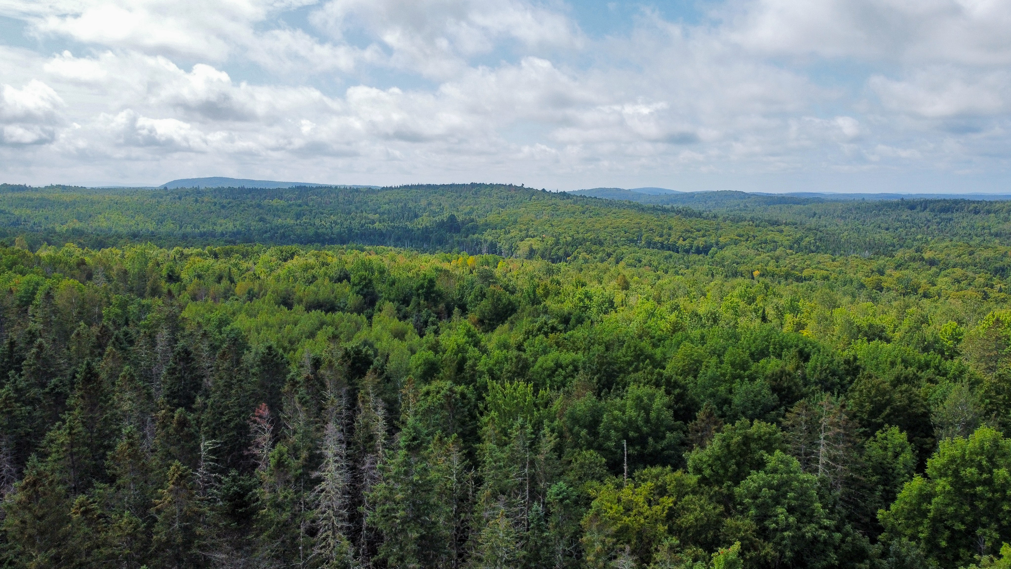 Northern Maine Recreational Land | 44 Acres
