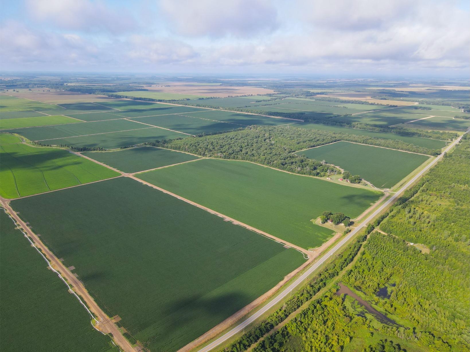 500 +/- Acres Precision Leveled and Irrigated Farmland