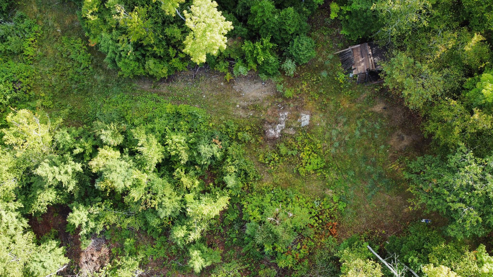 20 Acres with Katahdin Views – Springfield, Maine