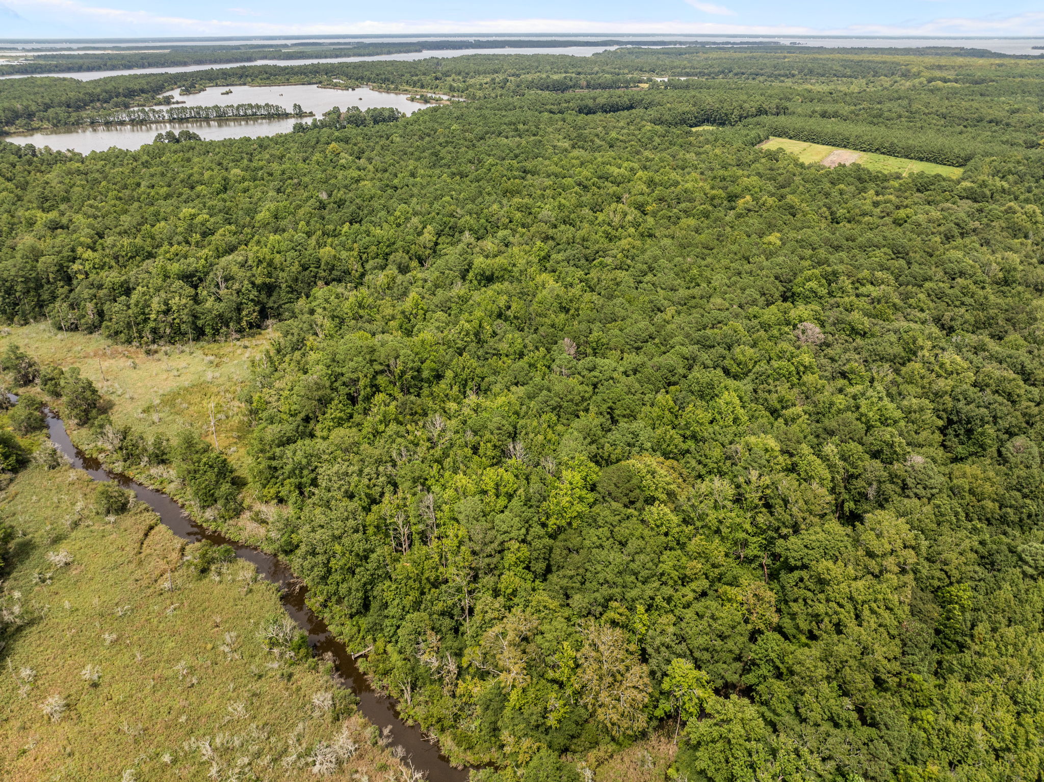 17 Acres Hunting Land with Timber for Sale in Aurora, NC